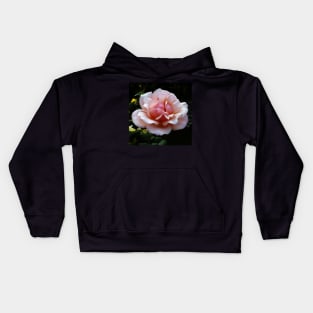 Pale Pink Rose Flower Close-up Kids Hoodie